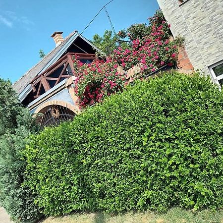 Apartman Vrdnicak Vrdnik Dış mekan fotoğraf