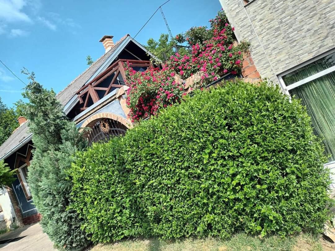 Apartman Vrdnicak Vrdnik Dış mekan fotoğraf