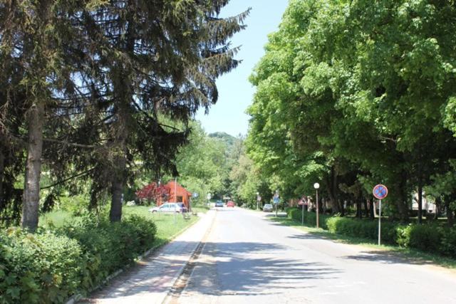 Apartman Vrdnicak Vrdnik Dış mekan fotoğraf