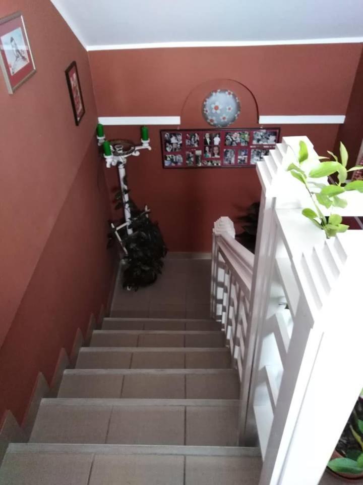 Apartman Vrdnicak Vrdnik Dış mekan fotoğraf