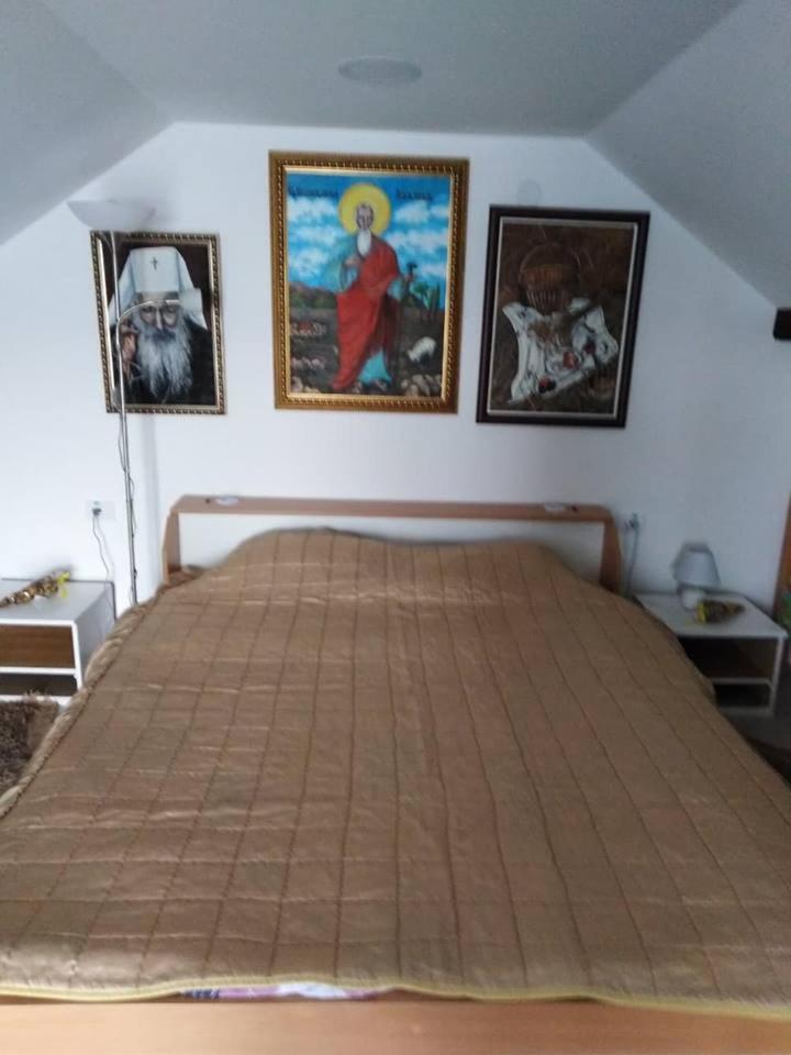 Apartman Vrdnicak Vrdnik Dış mekan fotoğraf
